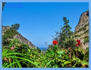 3rd Oct 2020 - View From Agios Georgios Monastery,Crete