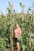 3rd Oct 2020 - kernal of corn