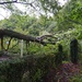 Storm Damage! by s4sayer