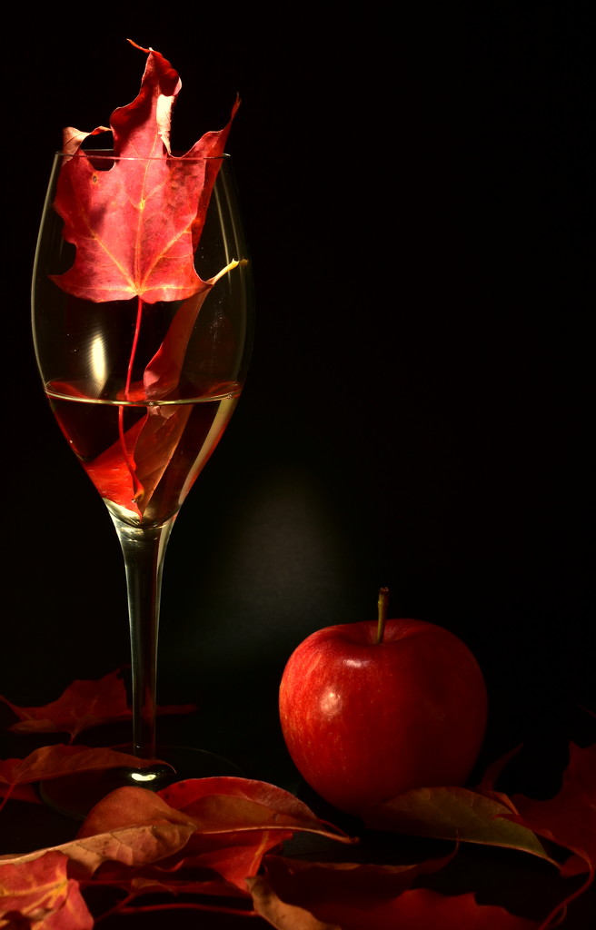 Autumn Wine by jayberg