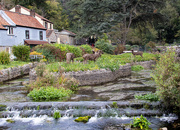 3rd Oct 2020 - The river at Cheddar