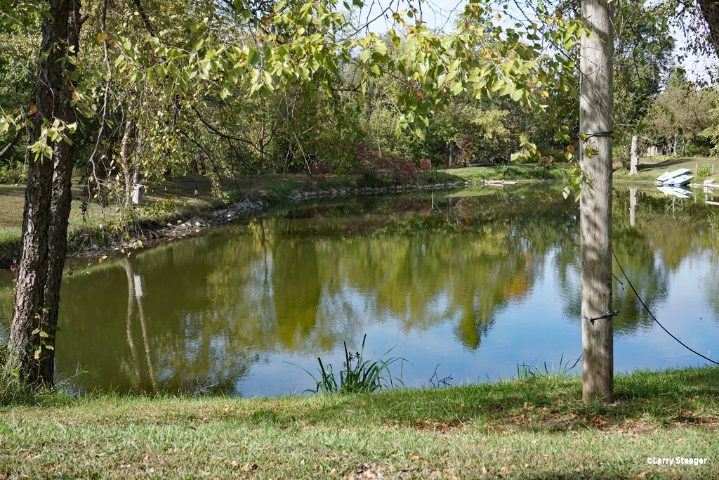 Lovely pond by larrysphotos