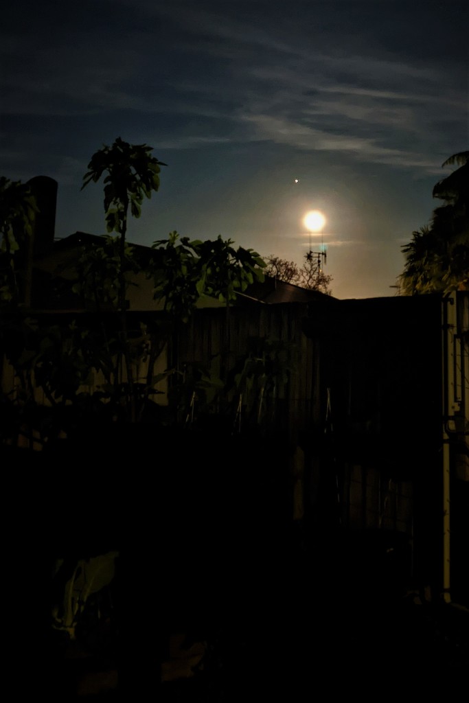 Full Moon Sat Night by sandradavies