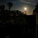 Full Moon Sat Night by sandradavies