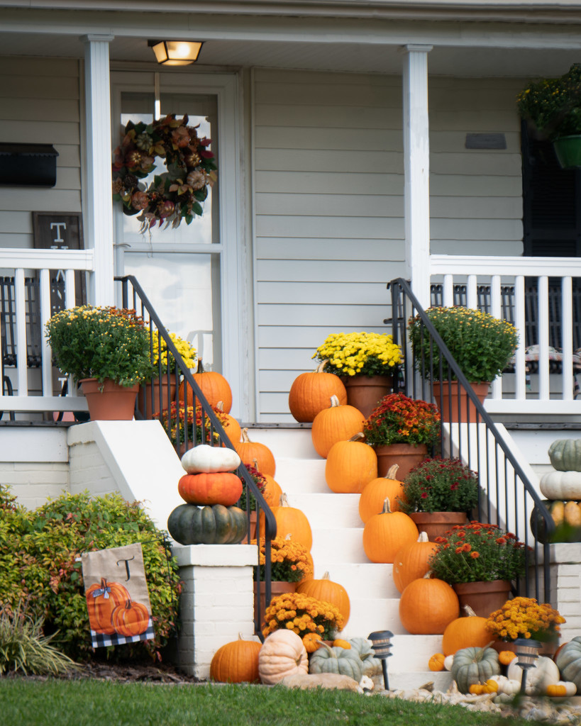 The neighbors welcome autumn by randystreat