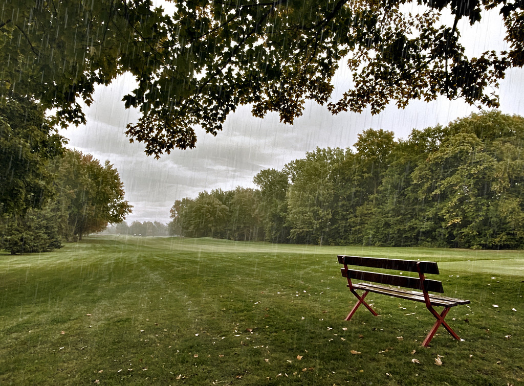 It never rains on a golf course! by sprphotos