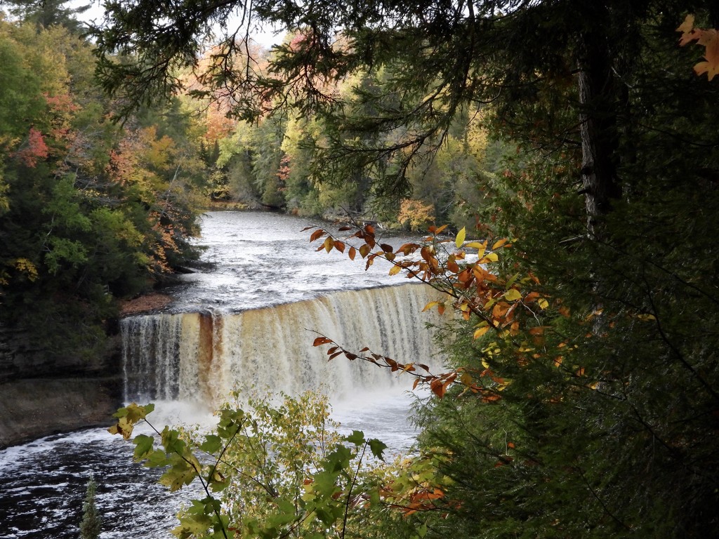 autumn at the falls by amyk