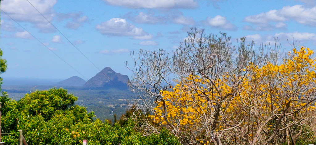 A beautiful day in Maleny by jeneurell