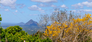 4th Oct 2020 - A beautiful day in Maleny