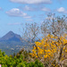 A beautiful day in Maleny by jeneurell