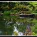    Tranquil Pond ~         by happysnaps