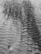 4th Oct 2020 - Sand marks