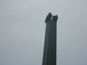 4th Oct 2020 - Two Vultures on Tower 