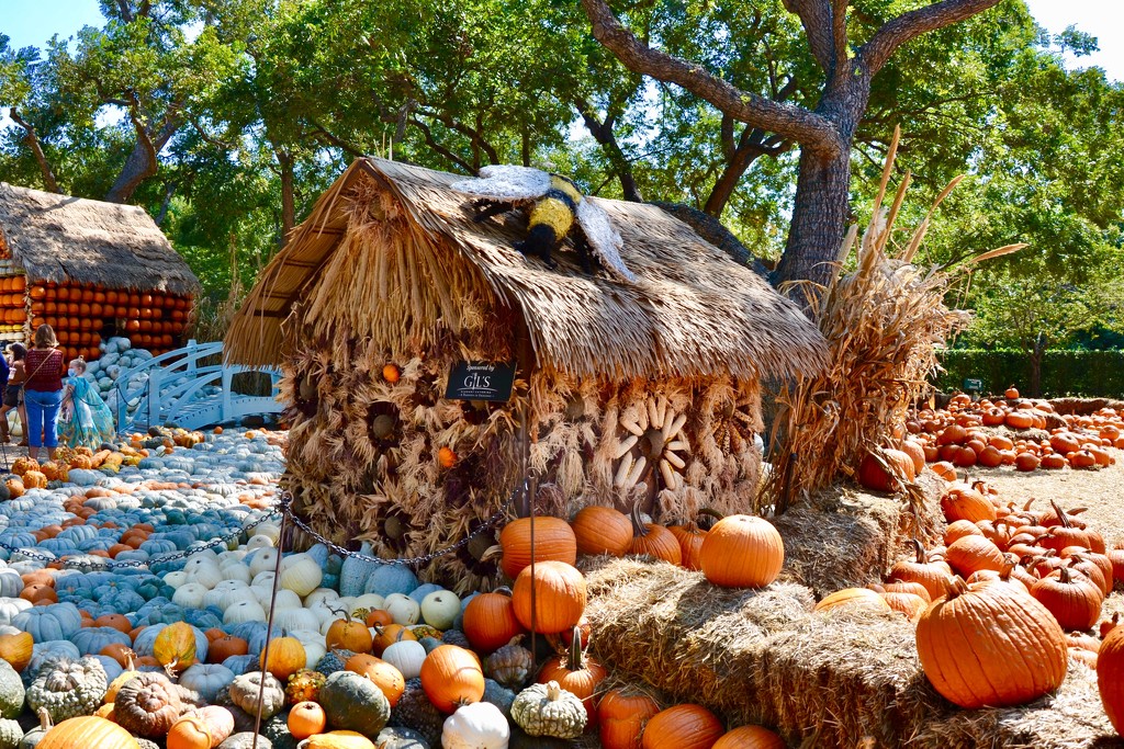 The “Art of the Pumpkin” at the Dallas Arboretum  by louannwarren