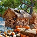 The “Art of the Pumpkin” at the Dallas Arboretum  by louannwarren