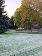 4th Oct 2020 - 1004frost