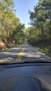 5th Oct 2020 - The tree-lined country road home...