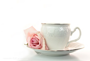 4th Oct 2020 - tea rose, a study in high key