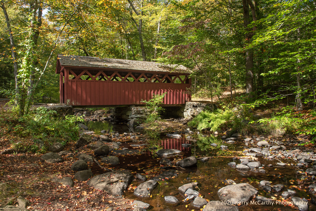 Covered bridge by mccarth1