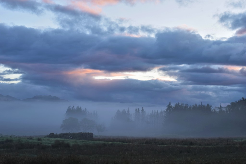dawn mist by christophercox