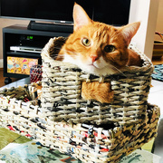 4th Oct 2020 - Honey & The Basket Tower