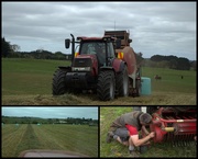 6th Oct 2020 - Spring farmwork