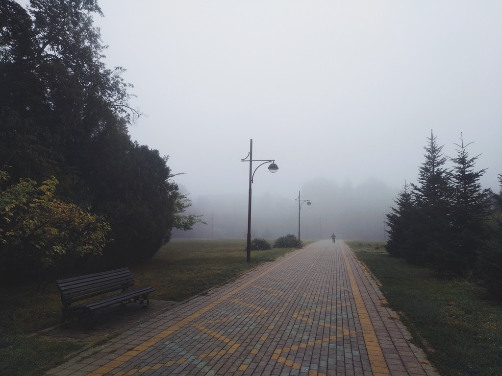 Шикарный туман by natalytry