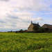 A farmhouse + barn and rapeseed field. by pyrrhula
