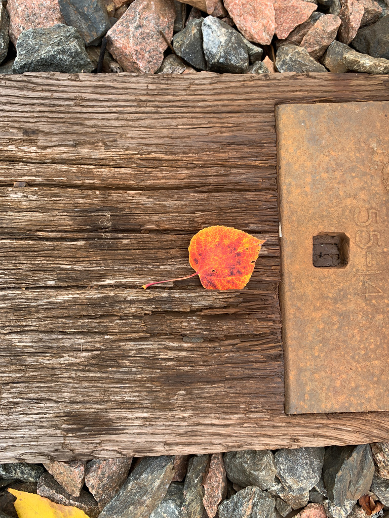 Wood, Stones, Metal, and Leaf 🍂  by radiogirl