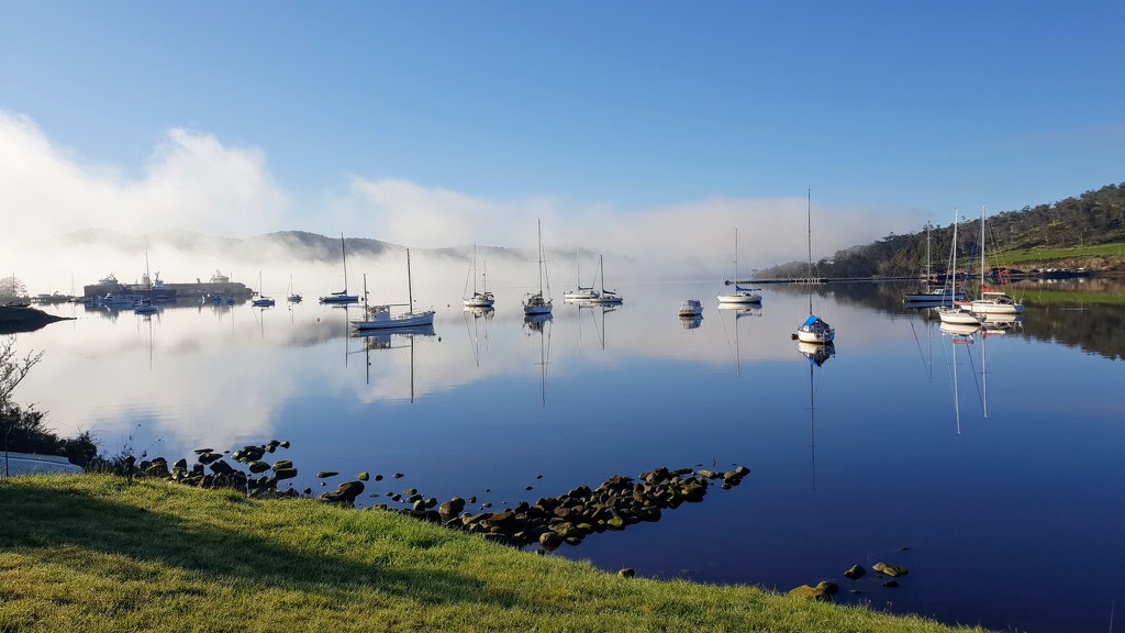 Fog over Huon River  by gosia