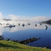 Fog over Huon River  by gosia