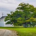 tree, Heritage Village, Mackinaw City by amyk