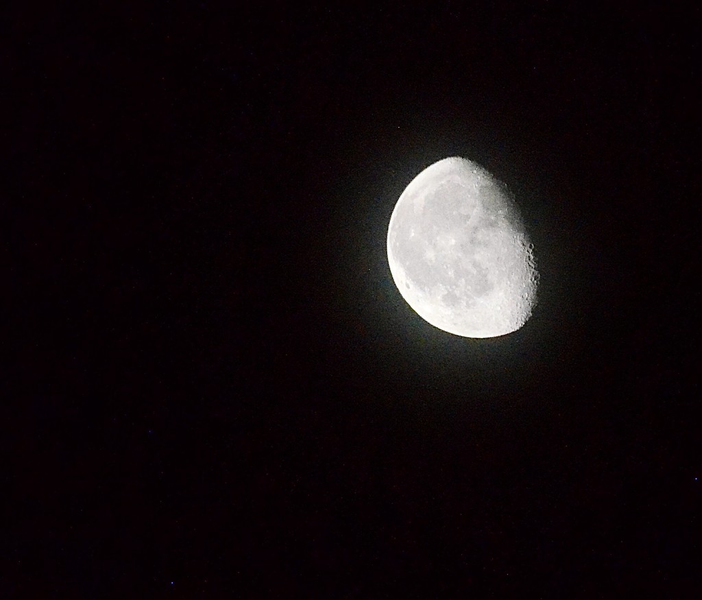 Moonlight by wakelys