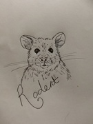 6th Oct 2020 - Today's word is rodent