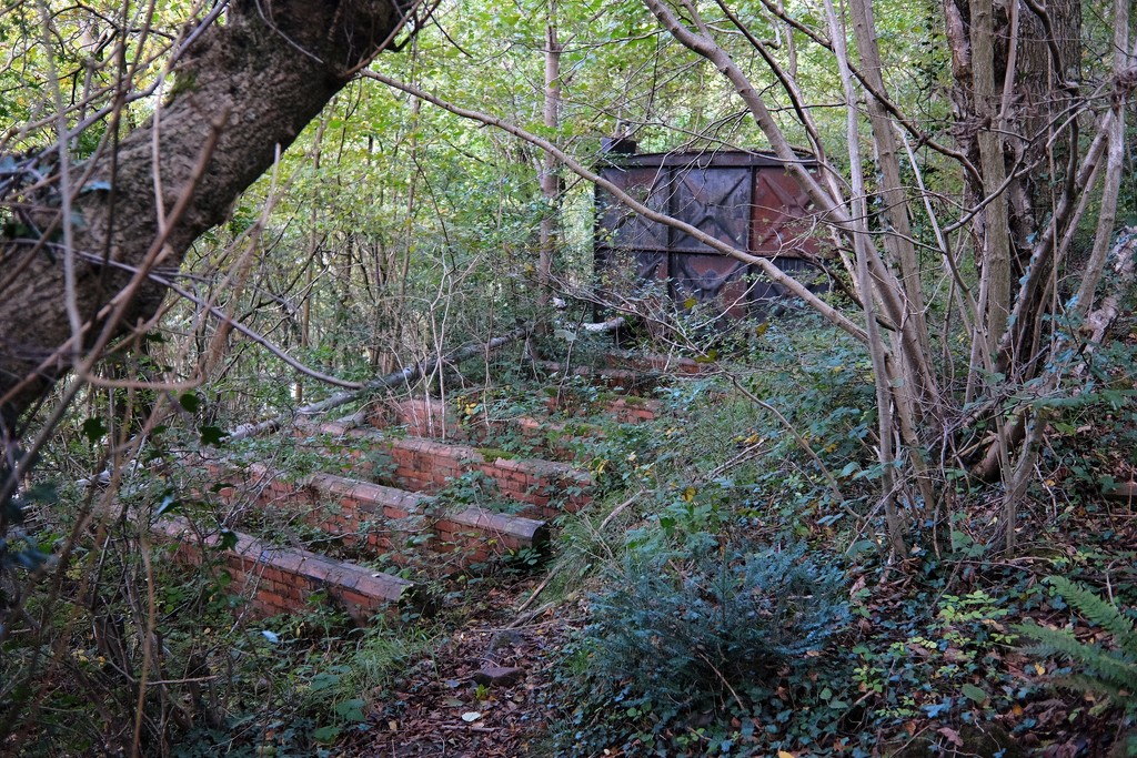 Old oil tank in the woods by allsop