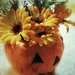 Pumpkin Floral by jo38