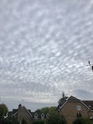 3rd Oct 2020 - Bobbly clouds