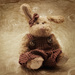 Bunny Edit 1 by olivetreeann