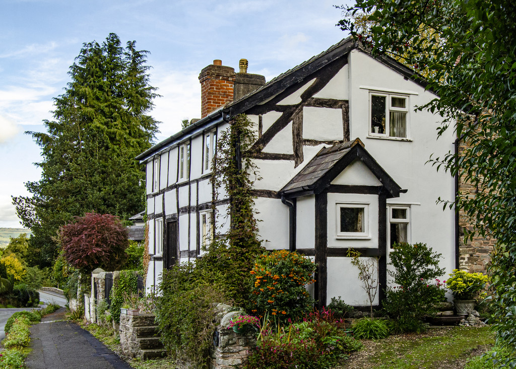 Black & White Cottage, Pembridge by clivee