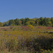 prairie in autumn by rminer