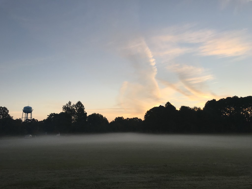 Misty Morning Fog by gratitudeyear