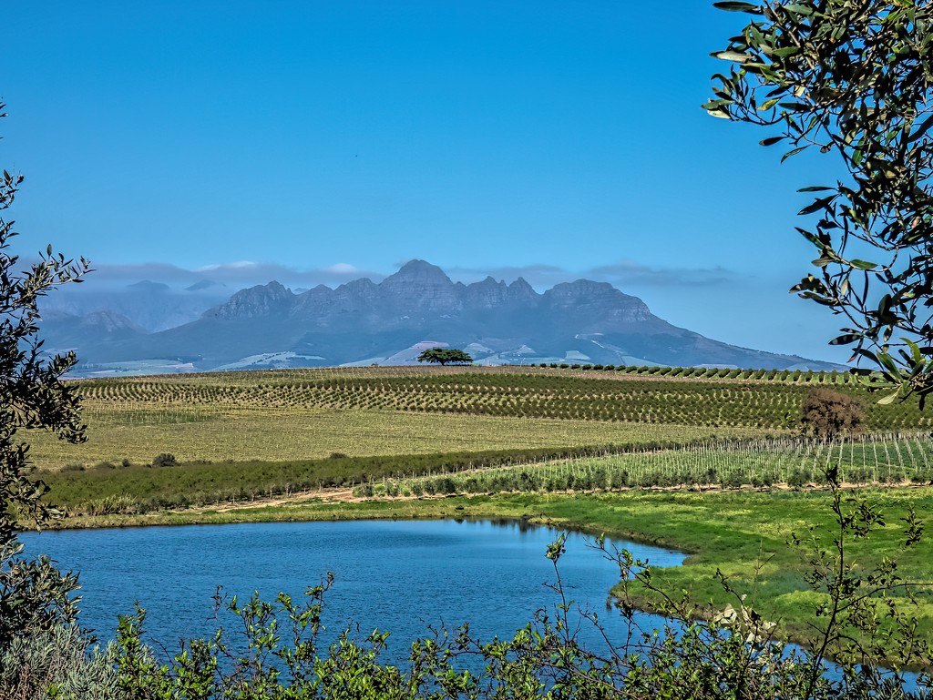 A View from my favourite wine estate by ludwigsdiana