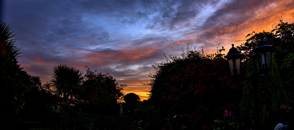 Morning Sky From The Garden. by tonygig