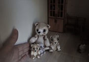 2nd Oct 2020 - Replenishment in the bear family.