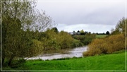 9th Oct 2020 - The swollen Severn at Atcham