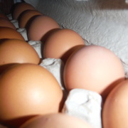 9th Oct 2020 - Egg Day