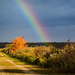 Fall Colours and a Rainbow by mgmurray