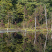 Beaver Pond Reflections by timerskine