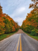 9th Oct 2020 - Natural Beauty Road
