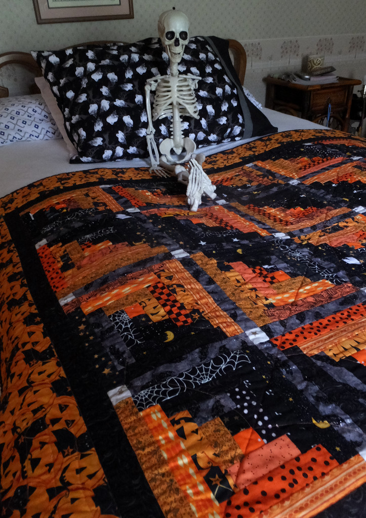 Shelly Skelly and the Quilt by linnypinny